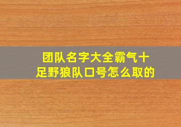 团队名字大全霸气十足野狼队口号怎么取的