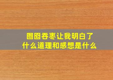 囫囵吞枣让我明白了什么道理和感想是什么