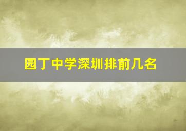 园丁中学深圳排前几名