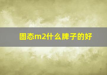 固态m2什么牌子的好