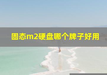 固态m2硬盘哪个牌子好用