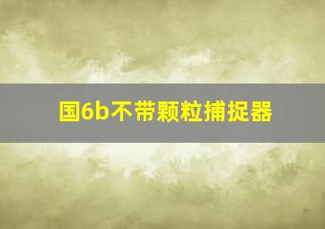 国6b不带颗粒捕捉器