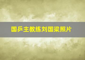 国乒主教练刘国梁照片