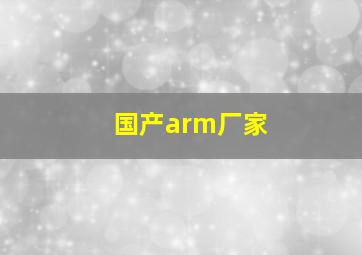 国产arm厂家