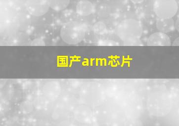 国产arm芯片