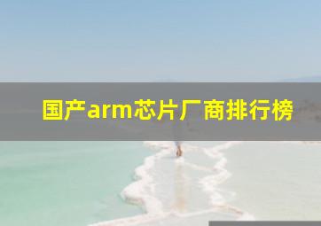 国产arm芯片厂商排行榜