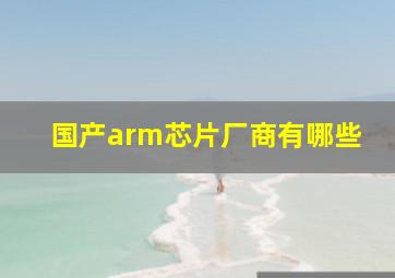 国产arm芯片厂商有哪些