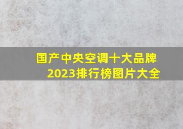 国产中央空调十大品牌2023排行榜图片大全