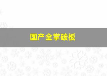 国产全掌碳板