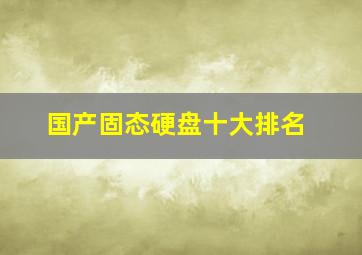 国产固态硬盘十大排名