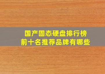 国产固态硬盘排行榜前十名推荐品牌有哪些