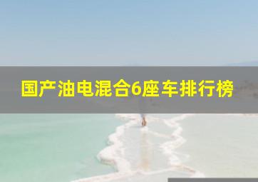 国产油电混合6座车排行榜