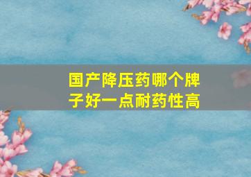 国产降压药哪个牌子好一点耐药性高