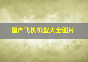 国产飞机机型大全图片