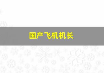 国产飞机机长