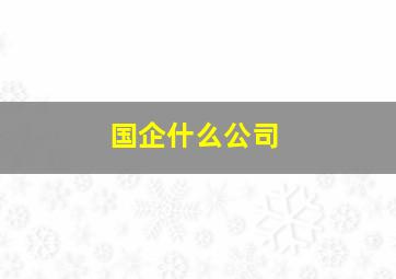 国企什么公司