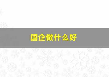 国企做什么好