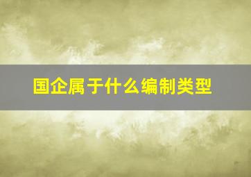 国企属于什么编制类型