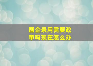 国企录用需要政审吗现在怎么办