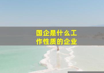 国企是什么工作性质的企业