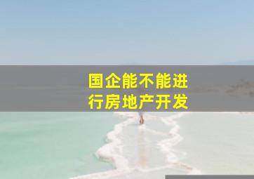 国企能不能进行房地产开发