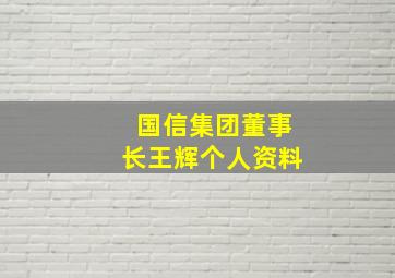 国信集团董事长王辉个人资料