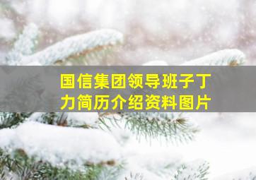 国信集团领导班子丁力简历介绍资料图片