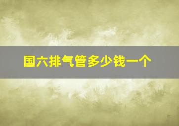 国六排气管多少钱一个