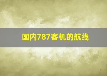 国内787客机的航线