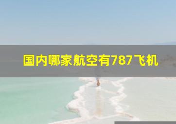 国内哪家航空有787飞机