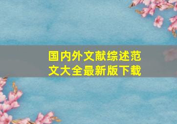 国内外文献综述范文大全最新版下载