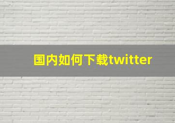 国内如何下载twitter