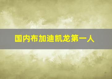 国内布加迪凯龙第一人