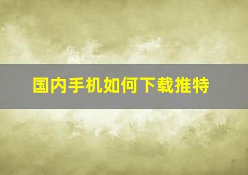 国内手机如何下载推特