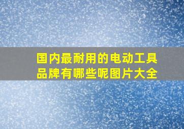 国内最耐用的电动工具品牌有哪些呢图片大全