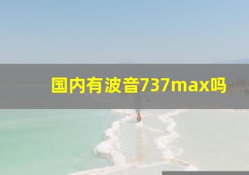 国内有波音737max吗