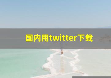 国内用twitter下载