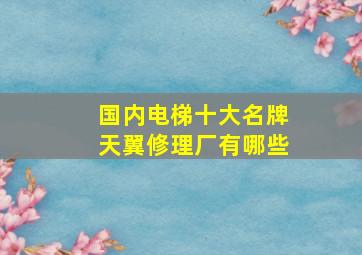 国内电梯十大名牌天翼修理厂有哪些