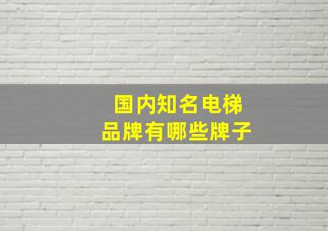 国内知名电梯品牌有哪些牌子