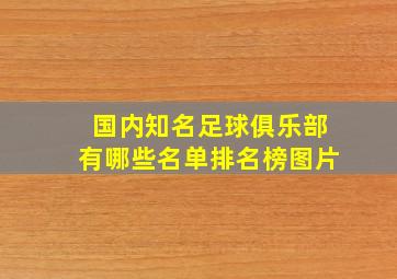 国内知名足球俱乐部有哪些名单排名榜图片