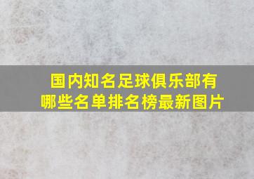 国内知名足球俱乐部有哪些名单排名榜最新图片