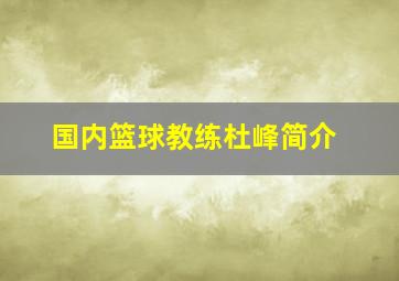 国内篮球教练杜峰简介