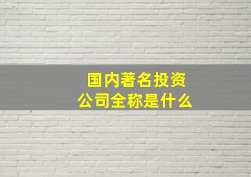 国内著名投资公司全称是什么