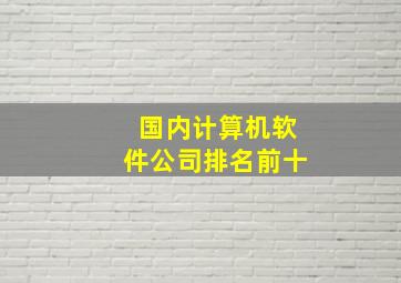 国内计算机软件公司排名前十