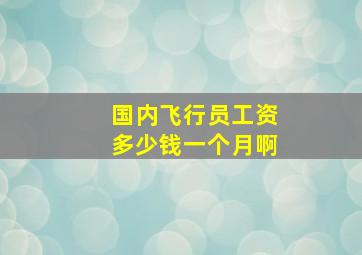 国内飞行员工资多少钱一个月啊