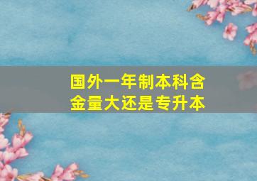 国外一年制本科含金量大还是专升本