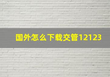 国外怎么下载交管12123