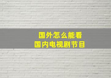 国外怎么能看国内电视剧节目