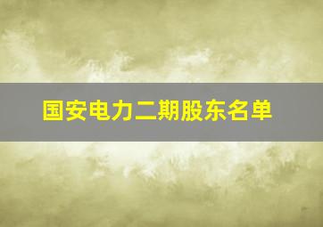 国安电力二期股东名单