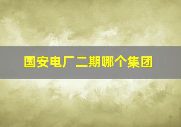 国安电厂二期哪个集团